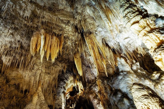 Hobbiton & Waitomo Caves Small Group Tour from Auckland inc Lunch - Lake Karapiro for a short scenic pause
