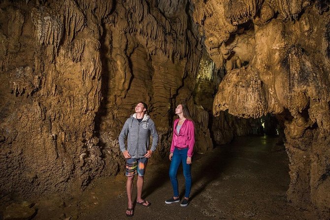 Hobbiton & Waitomo Caves Small Group Tour from Auckland inc Lunch - The ride back to Auckland