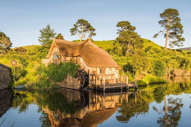 Hobbiton & Waitomo Caves Small-Group Tour W Lunch from Auckland - The return north to Auckland