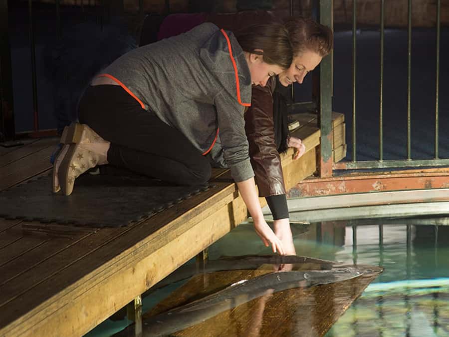 Hokitika: The National Kiwi Centre Tickets - Key points to know before you go