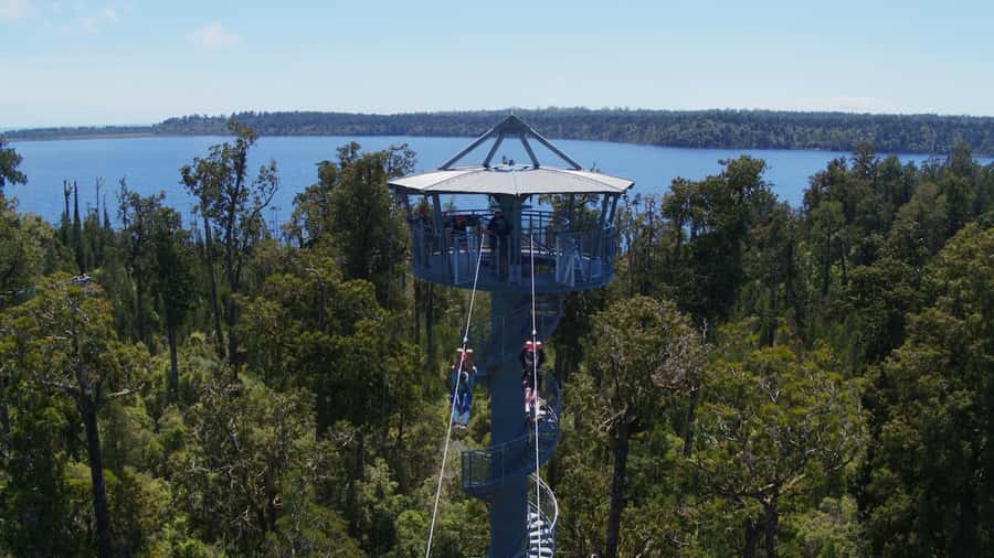 Hokitika: West Coast Tree Top Tower Zip Line and Walk - Key points at a glance