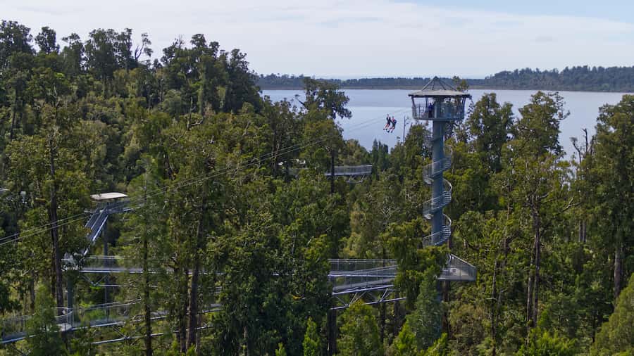 Hokitika: West Coast Tree Top Tower Zip Line and Walk - Climbing 106 steps to the 45-meter tower