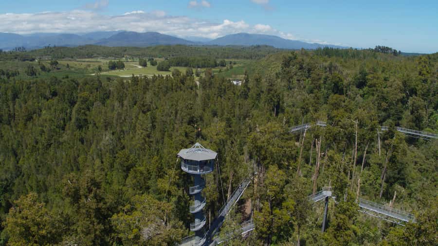 Hokitika: West Coast Tree Top Tower Zip Line and Walk - Is $71 a fair price?