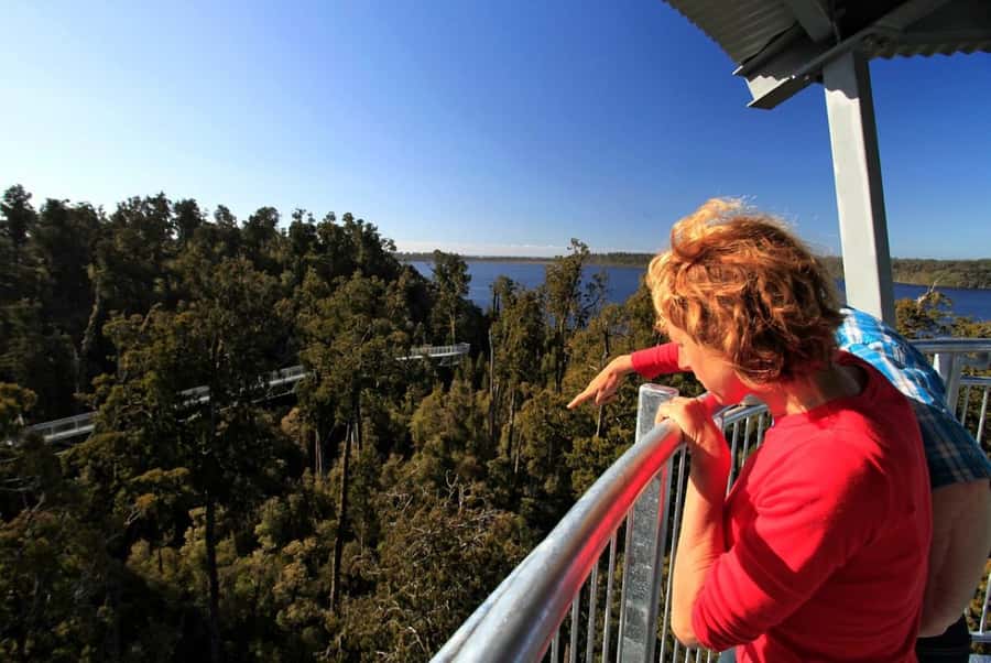 Hokitika: West Coast Tree Top Tower Zip Line and Walk - Walking above Hokitika’s ancient rainforest