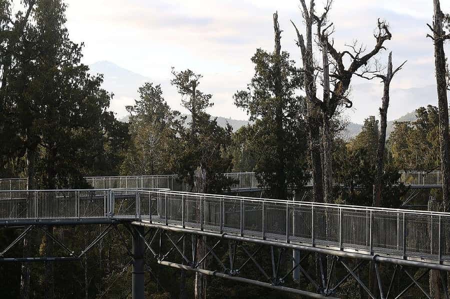 Hokitika: West Coast Treetop Walkway Entrance Ticket - Key points at a glance