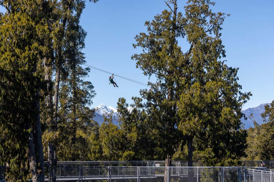 Hokitika: West Coast Treetop Walkway Entrance Ticket - The 450-metre platform at 20 metres high