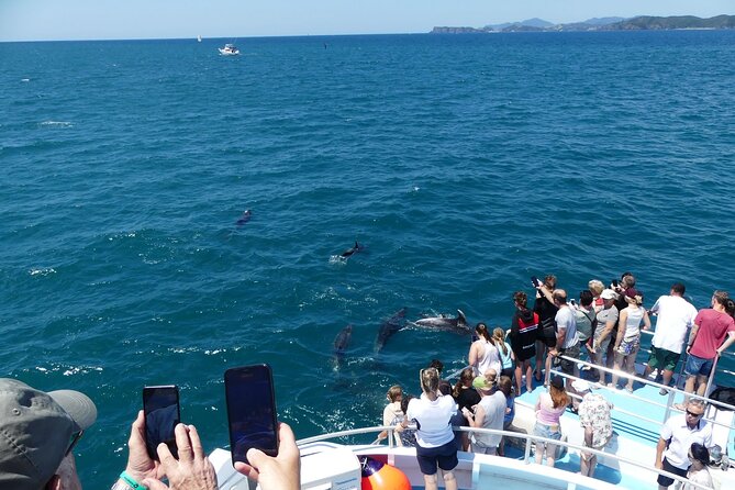 Hole in the Rock Scenic Cruise including Dolphins and Island stop - Cruising the 144 islands of Ipipiri