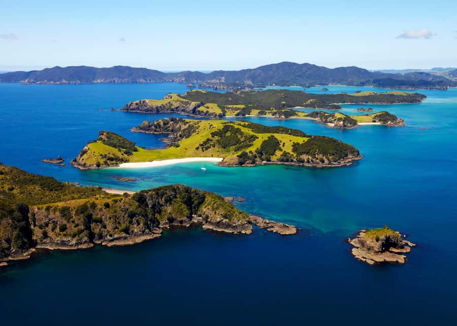 Hole in the Rock Tour & Bay of Islands Cruise - Key points to know before you book