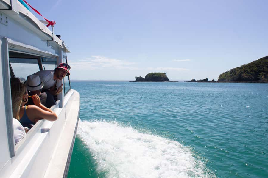Hole in the Rock Tour & Bay of Islands Cruise - Wildlife spotting on the water
