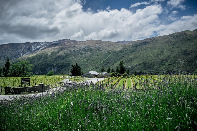 Hop on Hop off Wine Tours Queenstown - The one-way route changes how you plan
