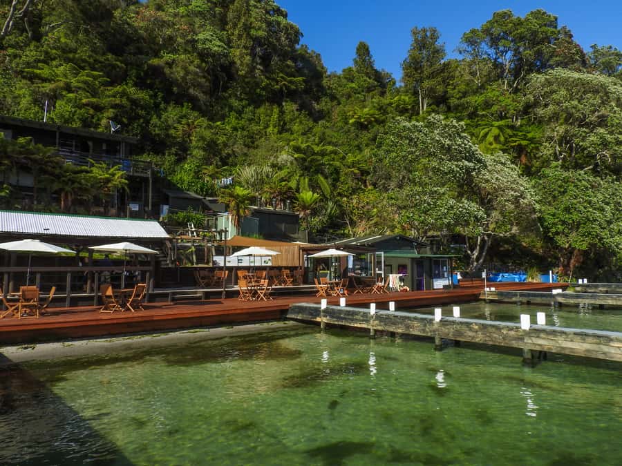 Hot Pools Kayak & Evening Barbecue - Why the hot pools are worth the paddle