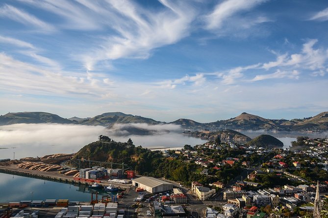 Iconic Shore Excursion: Dunedin City Highlights Tour - Key points to know before you book