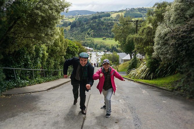 Iconic Shore Excursion: Dunedin City Highlights Tour - Why this is a useful four-hour introduction to Dunedin