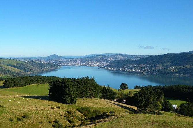 Iconic Shore Excursion: Dunedin City Highlights Tour - University of Otago shows the city’s student side