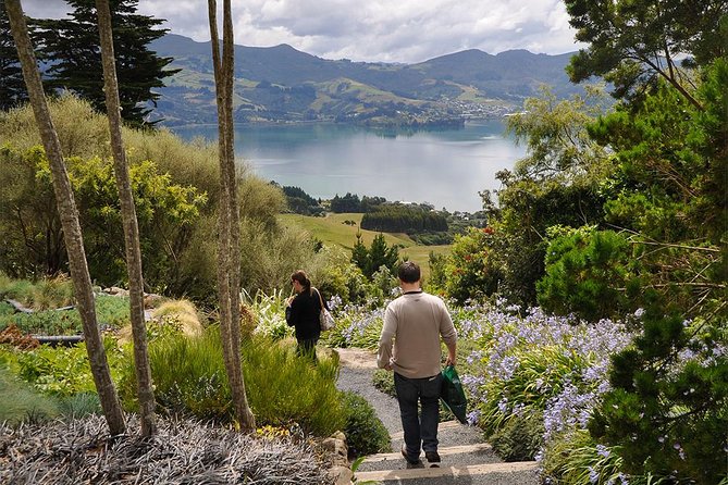 Iconic Shore Excursion: Iconic Larnach Castle Tour - Starting in Dunedin at the Railway Station