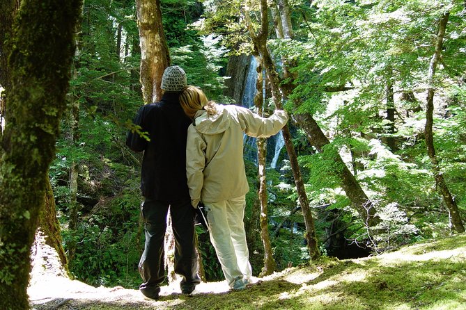 Jet Boat and Wilderness Walk Tour from Wanaka - Who will enjoy this tour most