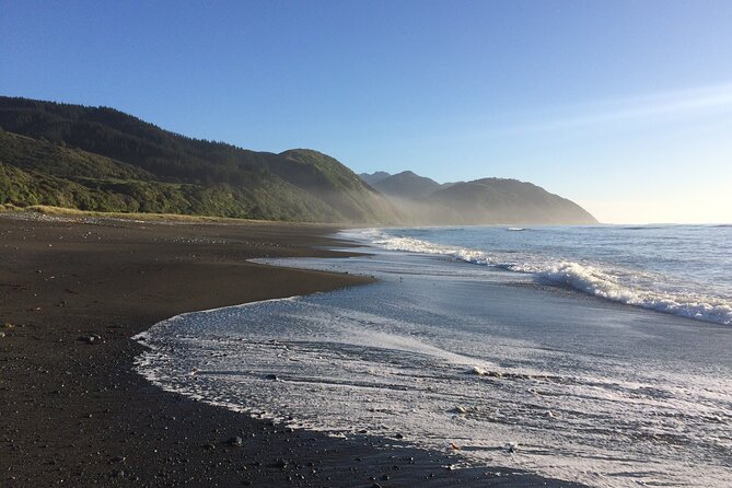 Kaikōura Day Tour From Christchurch (Small Group, Carbon Neutral) - What the small group changes