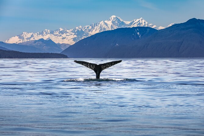 Kaikōura Day Tour From Christchurch (Small Group, Carbon Neutral) - Who should book this Kaikōura tour?
