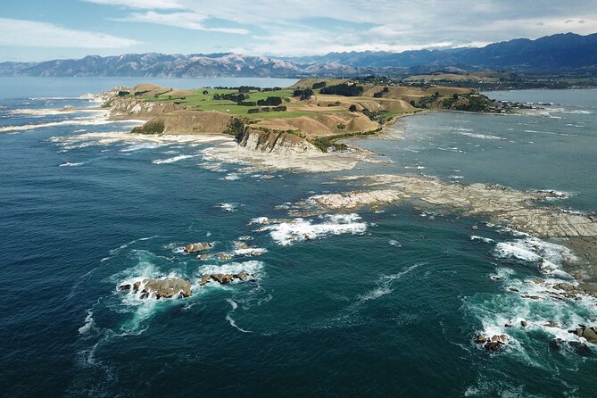 Kaikōura Day Tour From Christchurch (Small Group, Carbon Neutral) - A useful break in Cheviot