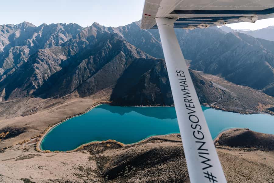 Kaikoura: Extended Flight Whale Watching & Mountain Tour - A 45-minute flight with two distinct parts