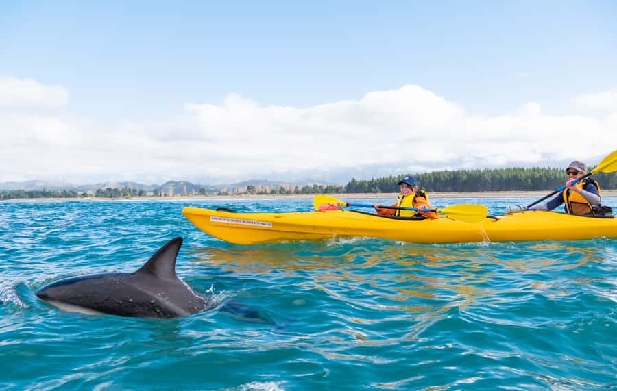 Kaikoura: Guided Family Kayaking Adventure - Starting at Kaikoura Kayaks on Killarney Street