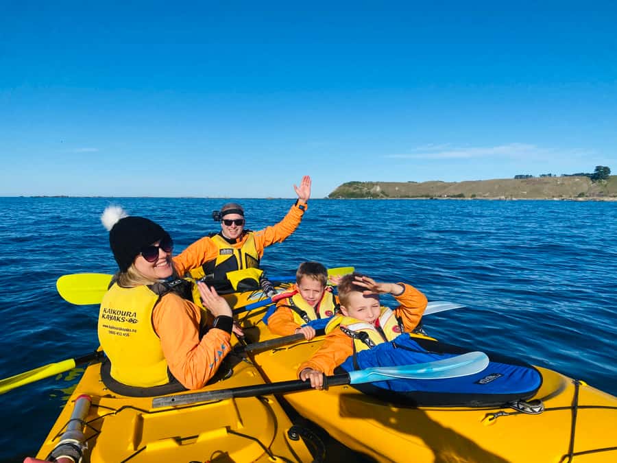 Kaikoura: Guided Family Kayaking Adventure - Looking for fur seals and other marine life