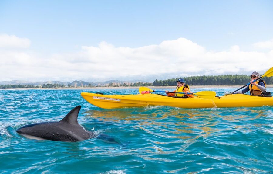 Kaikoura: Guided Family Kayaking Adventure - How much paddling is involved