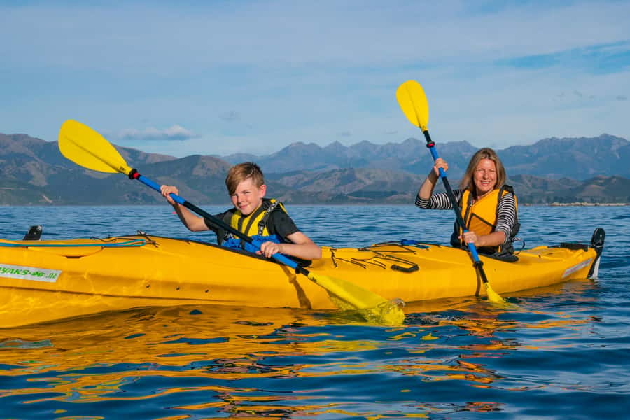 Kaikoura: Guided Family Kayaking Adventure - The real strengths and limits for children