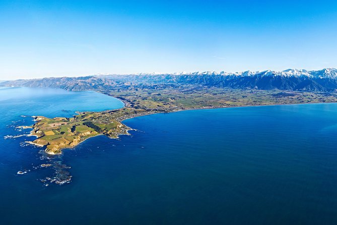 Kaikoura Helicopters Classic Whale Watch - How the aerial view changes whale watching