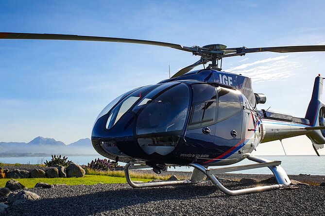 Kaikoura Helicopters Extended Whale Watch - Sperm whales and the patience factor