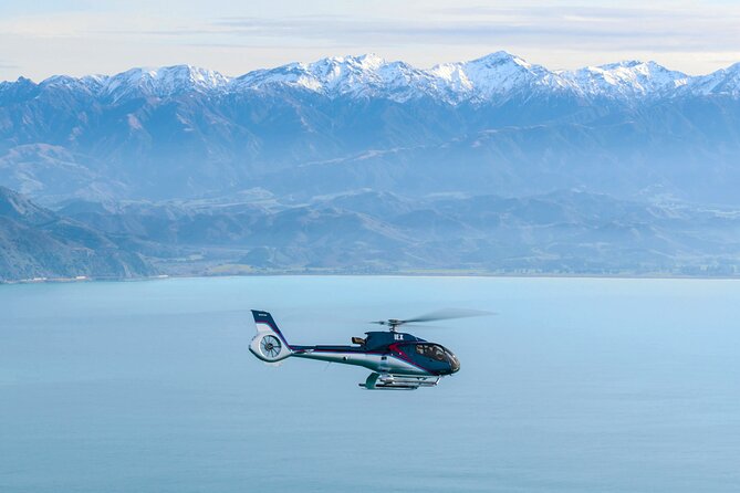 Kaikoura Helicopters Top n Tail Whale Watch flight - Key points at a glance