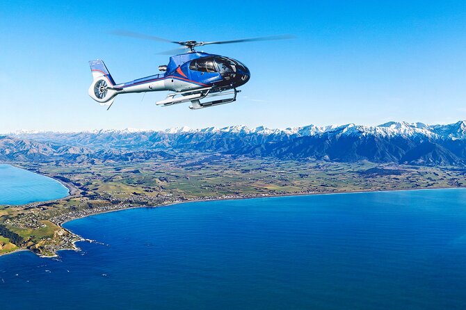 Kaikoura Helicopters Top n Tail Whale Watch flight - Who will enjoy Top ’n’ Tail most