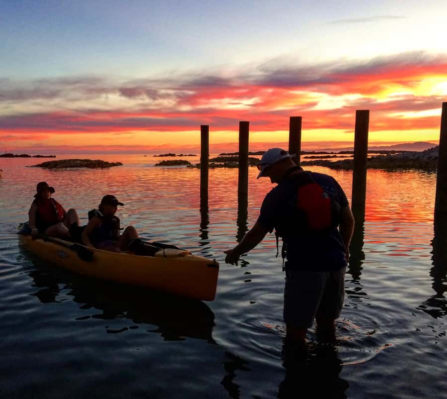 Kaikōura: Kayak Sunset Tour with Seal Sightings - Looking for kekeno, penguins, and seabirds