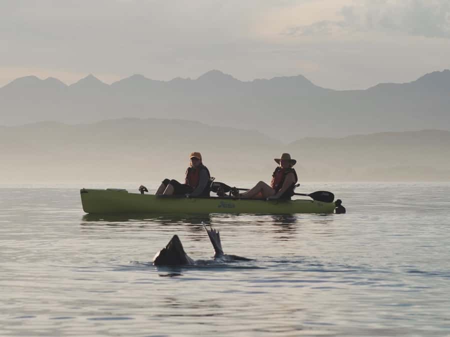 Kaikōura: Kayak Sunset Tour with Seal Sightings - A guide to Kaikōura’s past
