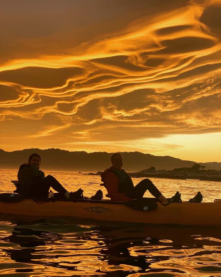 Kaikōura: Kayak Sunset Tour with Seal Sightings - Meeting at 18 Beach Road