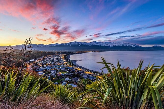 Kaikoura Private Whale Watching Day Trip from Christchurch - Is $186.17 good value?