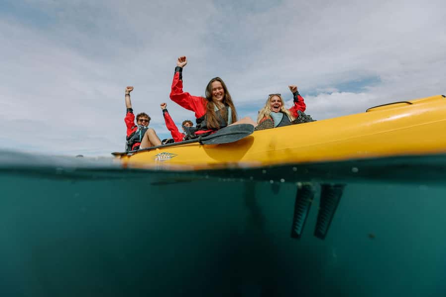 Kaikoura: Seal-Watching Pedal Kayak Tour - Key points to know before booking