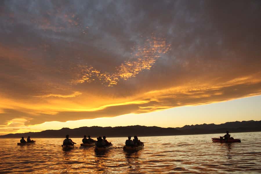 Kaikoura: Seal-Watching Pedal Kayak Tour - Weather, comfort, and the main drawbacks
