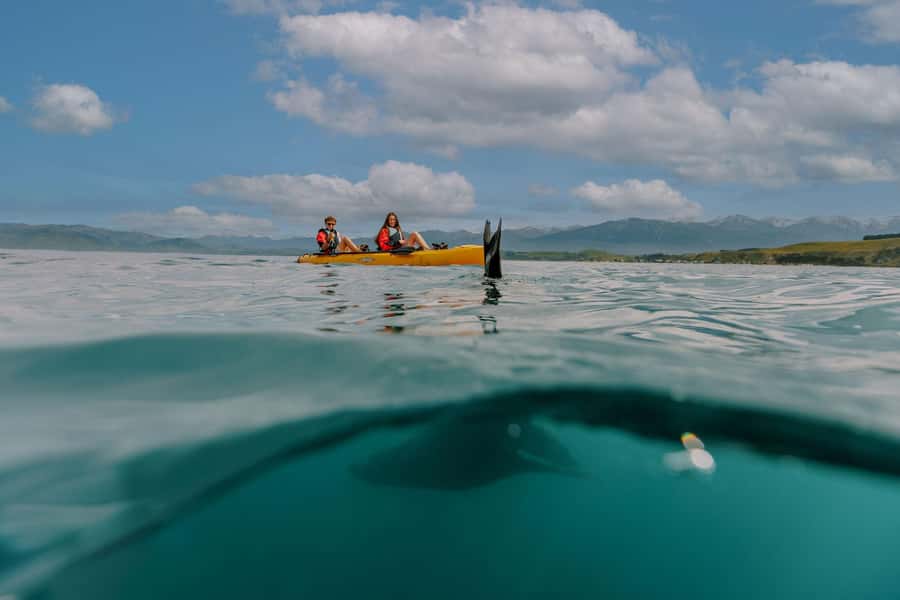 Kaikoura: Seal-Watching Pedal Kayak Tour - A simple safety briefing before the water