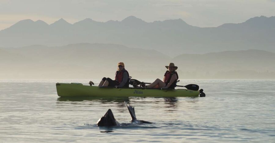 Kaikoura: Seal-Watching Pedal Kayak Tour - The best part: quiet encounters with seals