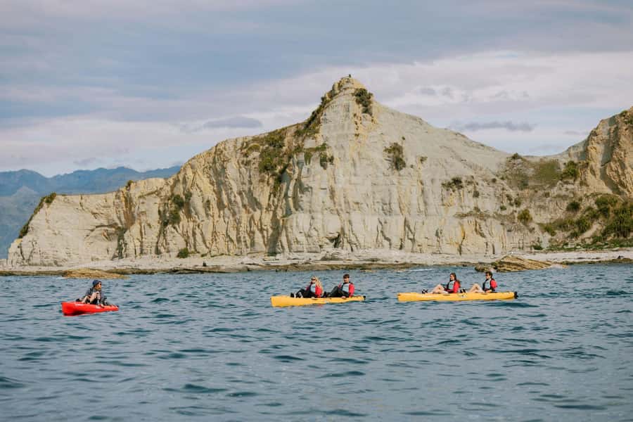 Kaikoura: Seal-Watching Pedal Kayak Tour - Photography without the usual paddle problem