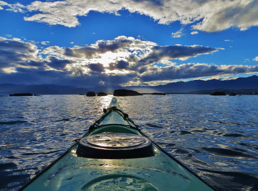 Kaikoura: Sunset Evening Kayaking Tour - The possible bonus wildlife