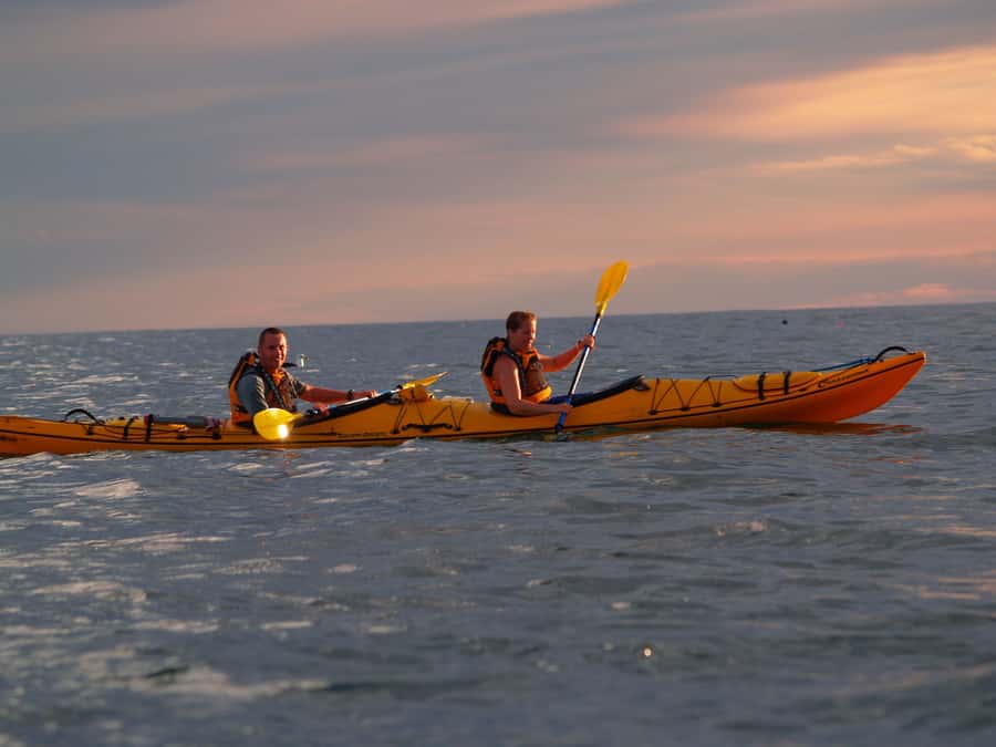 Kaikoura: Sunset Evening Kayaking Tour - Why the kayak itself changes the outing