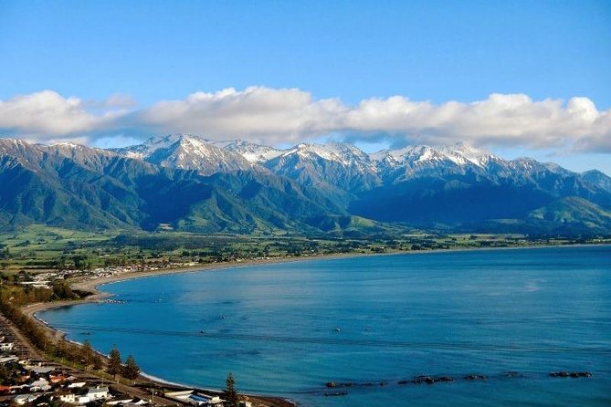 Kaikoura Swim with Dolphins Tour from Christchurch - The 7:00 am journey from Christchurch