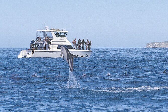 Kaikoura Whale and Dolphin Overnight Tour from Christchurch - Leaving Christchurch at 7:00 am