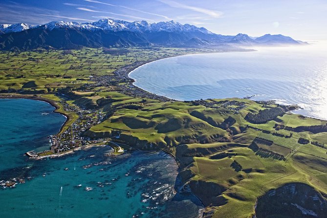 Kaikoura Whale Watch Day Tour from Christchurch - Why Kaikoura is such a strong whale-watching choice