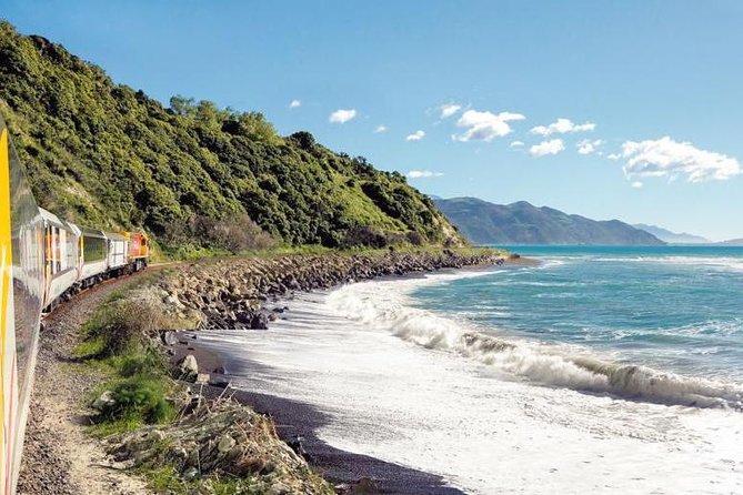 Kaikoura Whale Watch Day Tour from Christchurch including Coastal Pacific Train - Why Kaikoura is such a strong whale-watching base