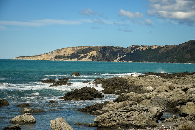 Kaikoura Whale Watch Tour from Christchurch - Small Group - Four hours aboard the whale-watching vessel