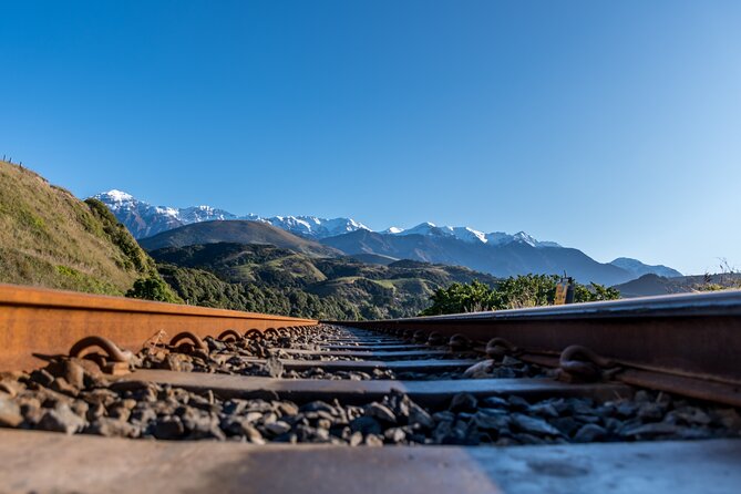 Kaikoura Whale Watch Tour from Christchurch - Small Group - Is $235.82 a fair price?