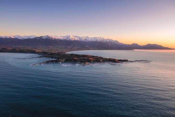 Kaikōura Whale Watching - 1hr 20min Ultimate Adventure - Booking, weather, and practical details